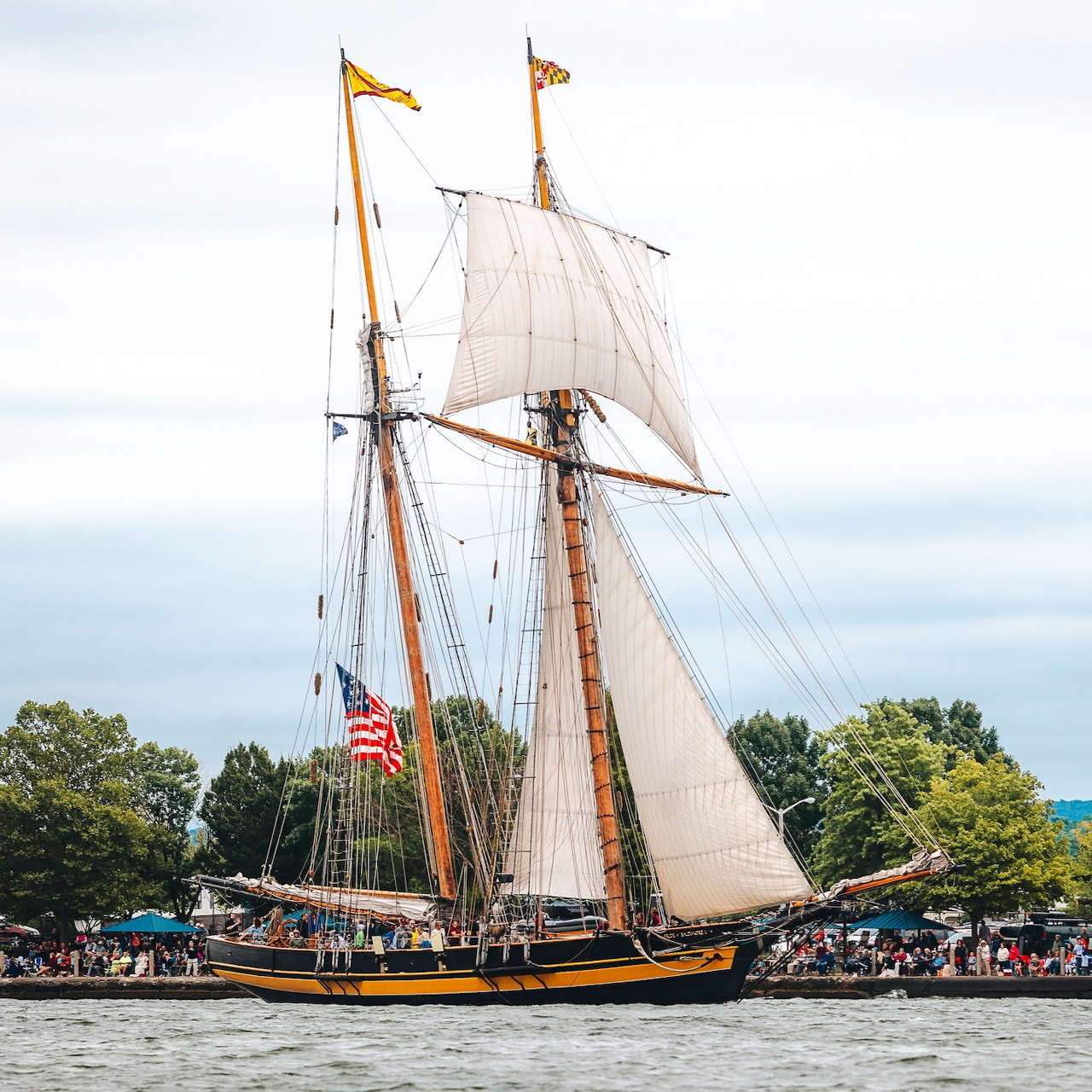 Sail Amsterdam 2025