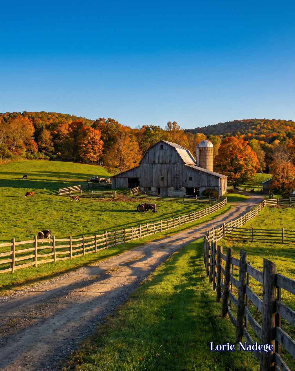Barn and silo by a dirt road with fenced green fields and autumn trees