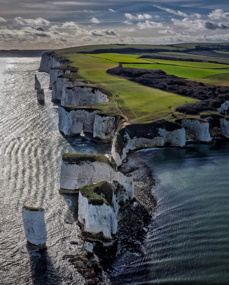 Old Harry Rocks Chalk Cliffs