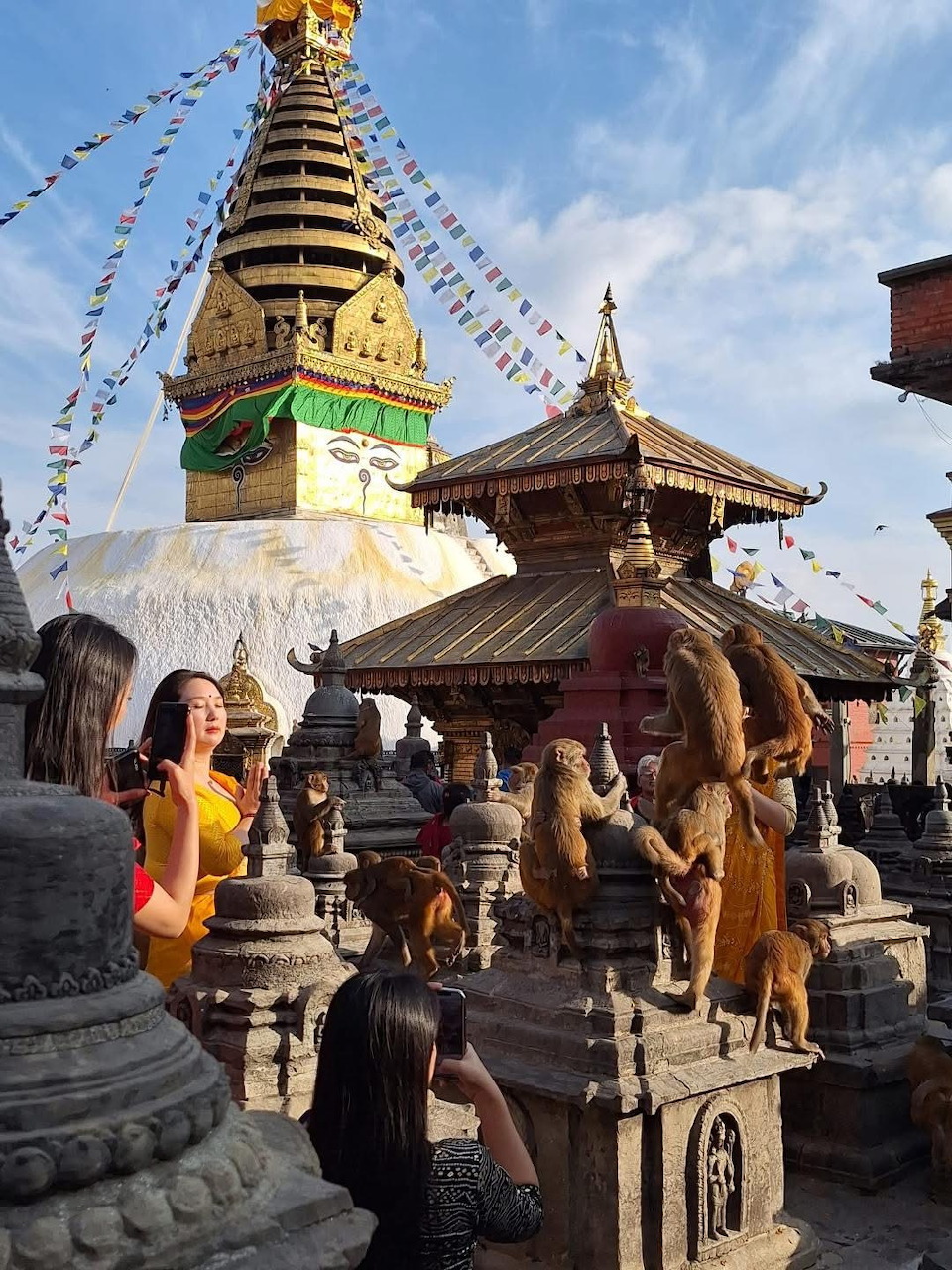 Golden Buddhist stupa with prayer flags and monkeys at temple in Nepal