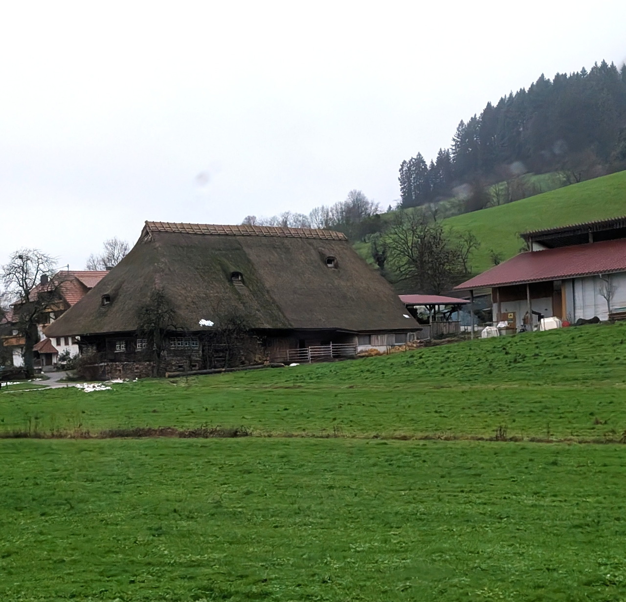 Thatched Roof Black Forest Farm