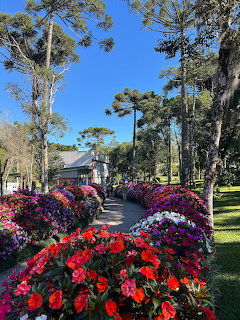 Garden path bordered by red and pink flowers, with tall trees and a small house in the background.