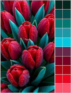 Red tulips with water droplets and green leaves next to a color palette of teals,reds, and grens
