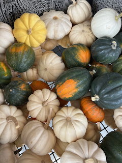 Assorted squash and mini pumpkins in white, green, orange, and yellow piled in a basket