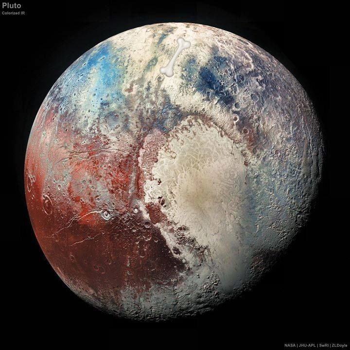 Color-enhanced view of Pluto with icy surface details against black space