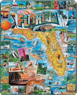 Collage of Florida scenes with central state map showing cities, beaches, wildlife, and tourist attractions