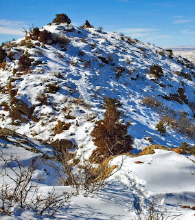 Snow on the Mountain