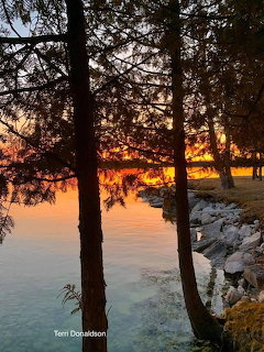 Lakeside Sunset Through Trees