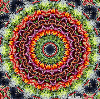 Vibrant Mandala Pattern