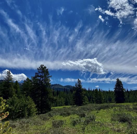 Mountain landscape with forest, meadow and blue sky with wispy clouds
