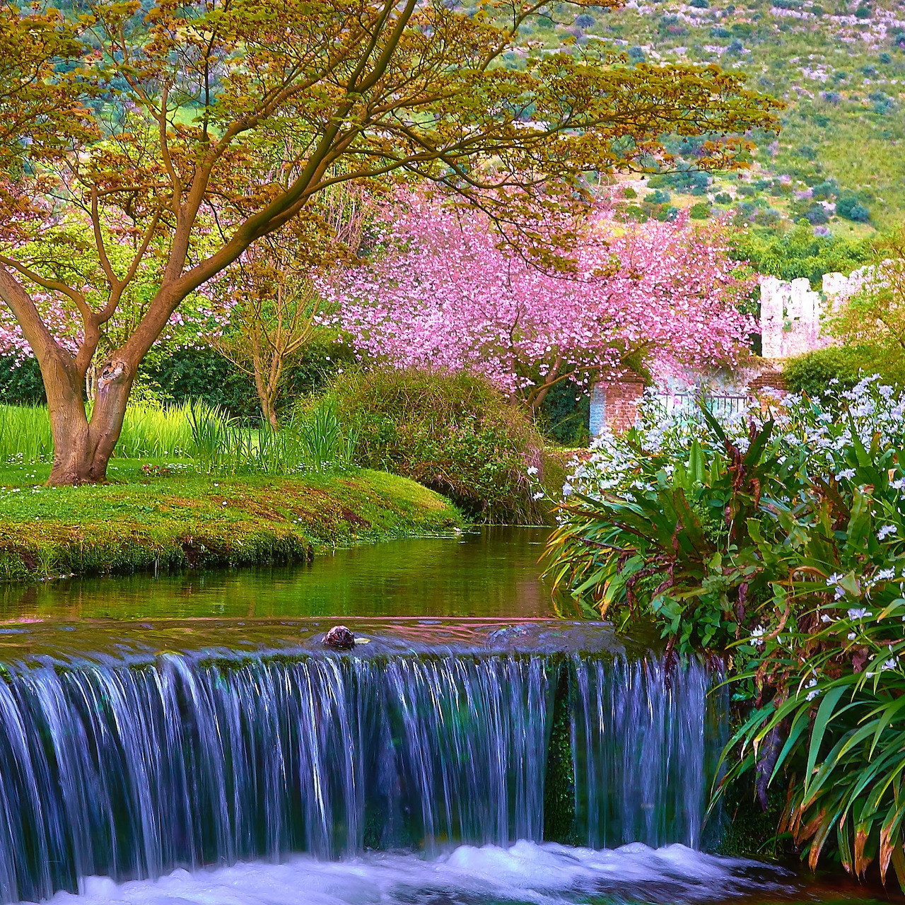 Waterfall cascading in vibrant spring garden with pink blossoms and cottage