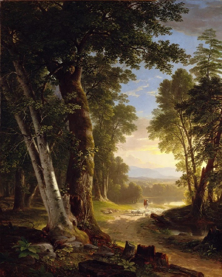 Oil painting of tall beech trees in a forest with a calm stream and warm golden light in the background.