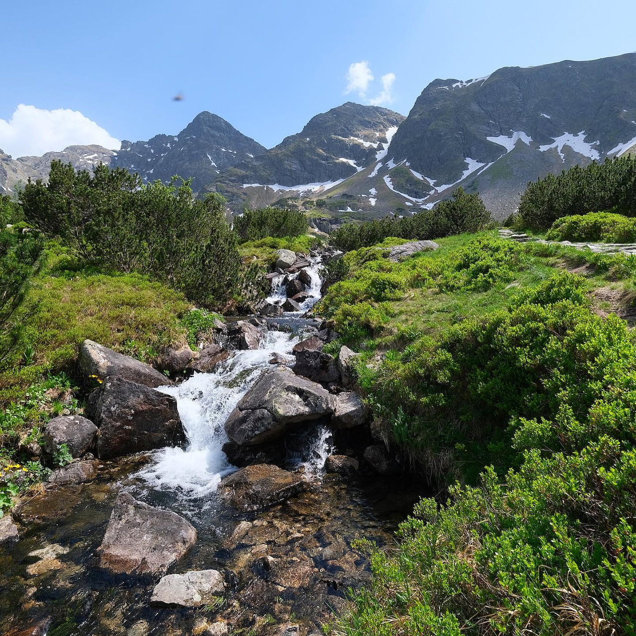Rocky mountain stream in a green alpine valley below rugged snow-patched peaks