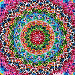 Colorful Mandala Symmetry
