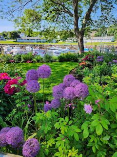 Garden with large purple allium flowers, green lawn, colorful flower beds, and boats in a harbor beyond