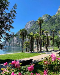 Lakefront park with pink flowers, palm trees, and mountains reflected in calm water under blue sky