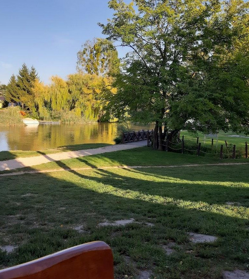 Park Lake and Trees