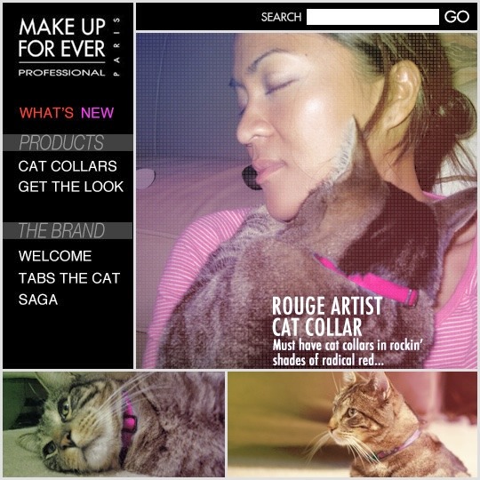 Magazine-style collage with a woman holding a gray cat in a pink collar and two smaller cat photos