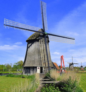 Historic Dutch windmill in green field with additional windmills in background under blue sky