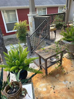 Front Steps Garden Patio