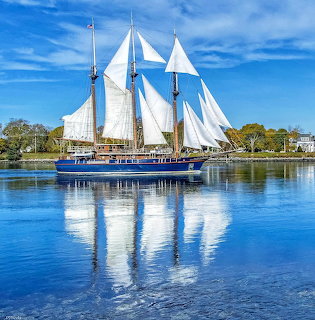 White-sailed tall ship sailing on calm blue water with shoreline in background