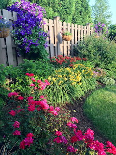 Colorful flower garden with pink, purple, yellow blooms beside white picket fence and green lawn