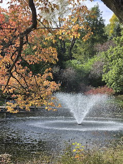 Water fountain spraying in a pond surrounded by colorful autumn trees in a park