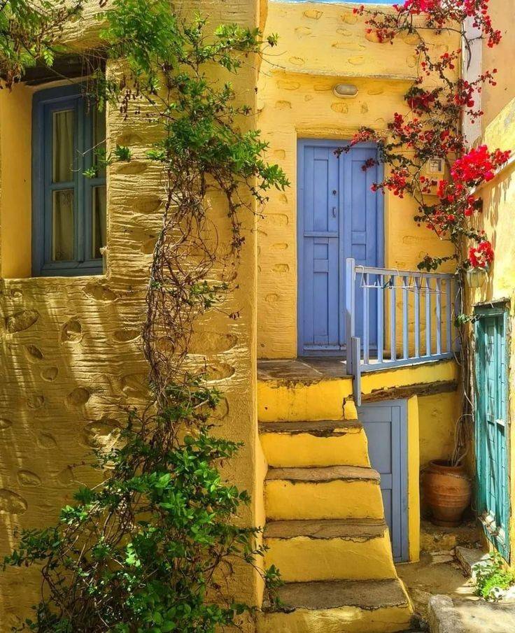 Blue door and window on sunny yellow house with climbing flowers and stone steps