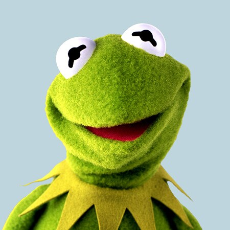 Close-up of Kermit the Frog smiling on a light blue background
