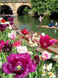 Historic stone bridge over river with punting boats and colorful spring flowers in Oxford