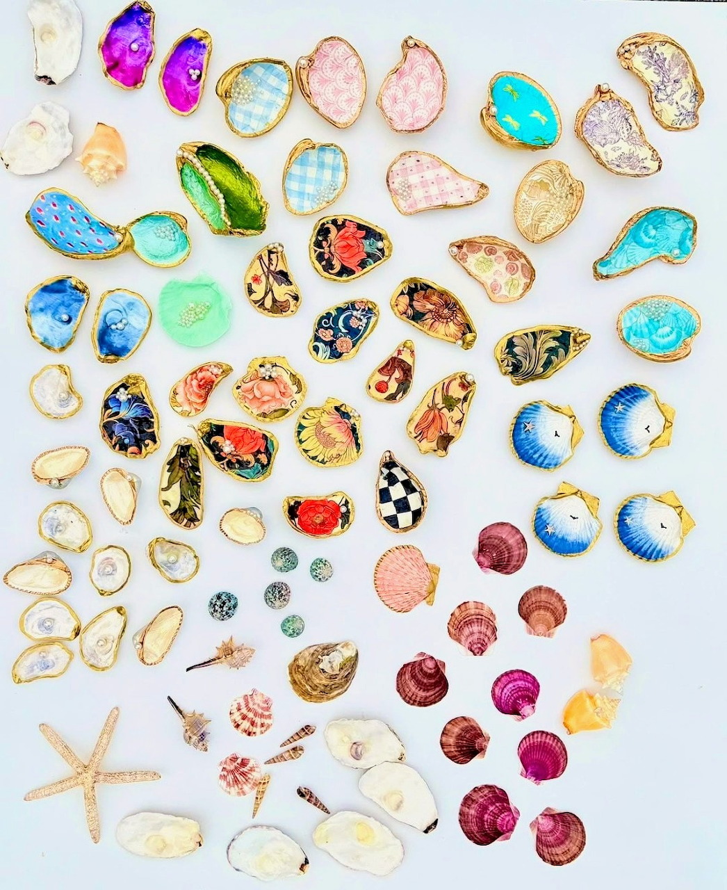 Colorful artistic seashells arranged in a decorative composition