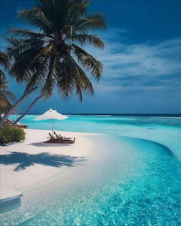 Tropical white sand beach with palm trees, turquoise lagoon, lounge chairs and umbrella