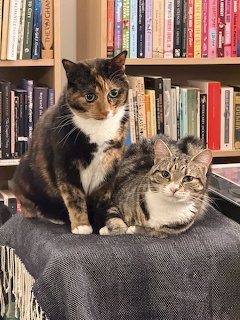 Cats and Books