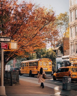 Person crossing city street with school buses and autumn trees