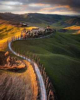 Aerial view of a winding road lined with cypress trees through green Tuscan hills at sunset