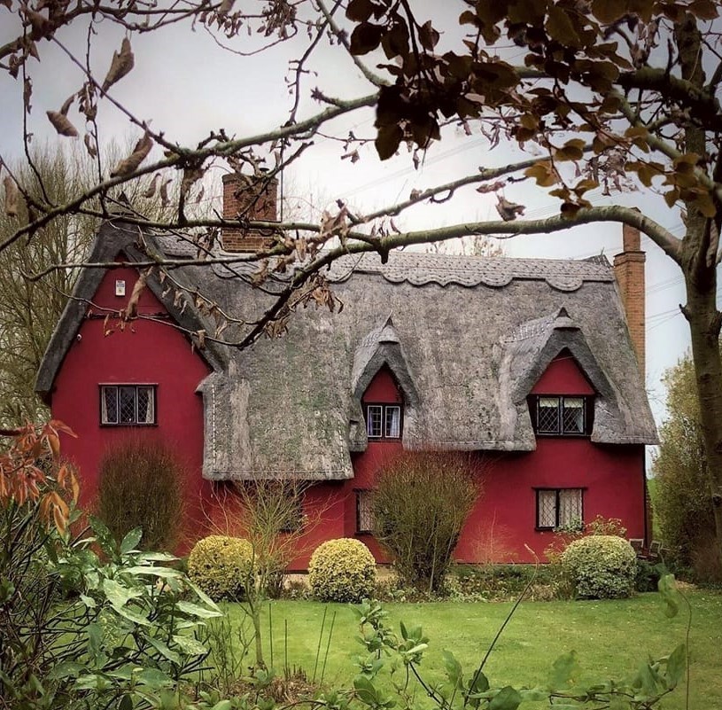 Pink thatched roof cottage with white-trimmed windows in English garden surrounded by trees and green lawn