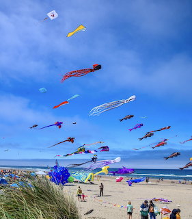 Multiple colorful kites flying above a beach with people watching from the sandy shore under a blue sky