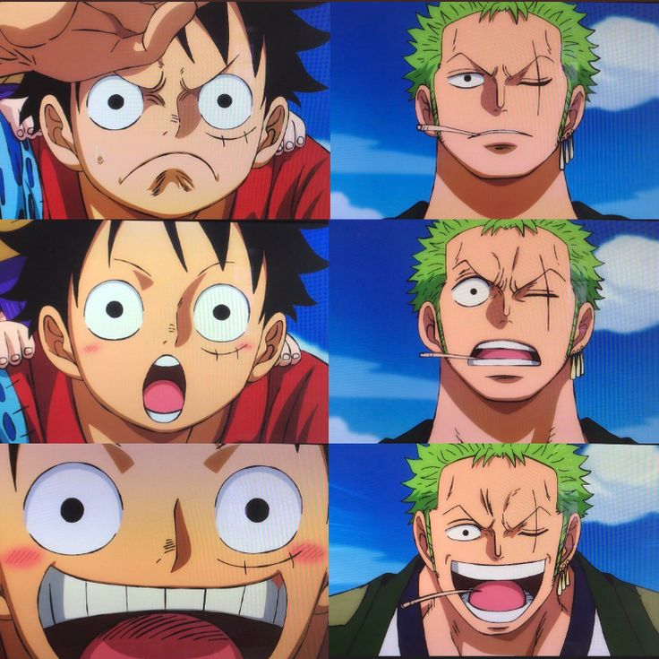 Luffy and Zoro Expressions