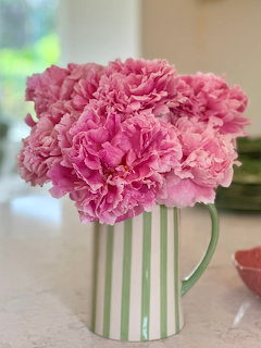 Pink peony flowers in green striped vase on table