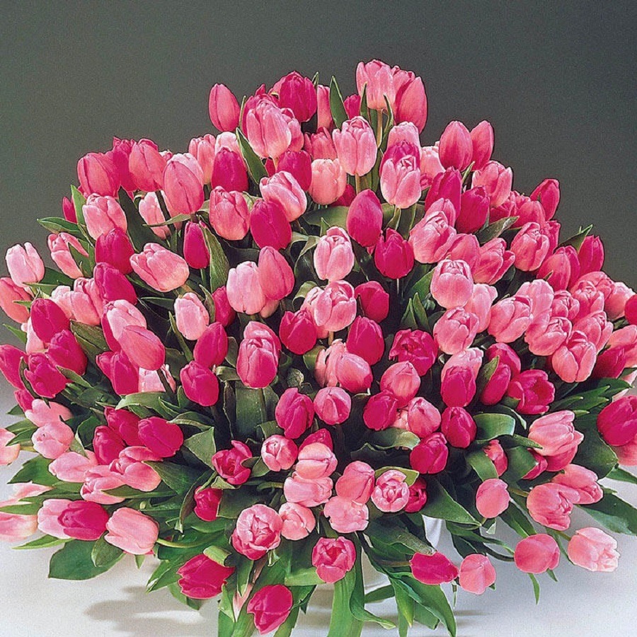 Pink Tulips Bouquet Arrangement
