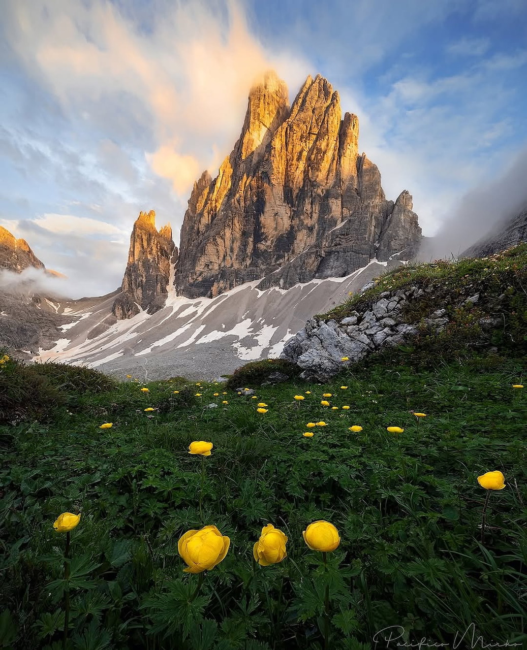 Rocky mountain peaks at sunset above an alpine meadow with yellow flowers