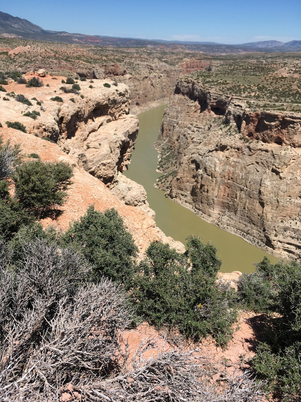 A river winding through a deep red sandstone canyon with sparse desert vegetation and blue sky above.