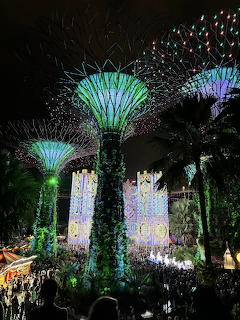 Illuminated Supertree structures at night with palm trees and a crowd below