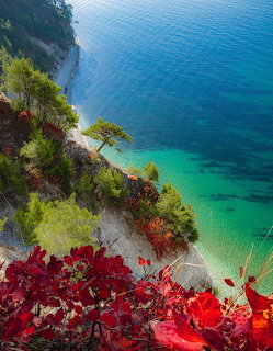 Steep coastal cliff with vegetation overlooking turquoise ocean water and red flowers in foreground