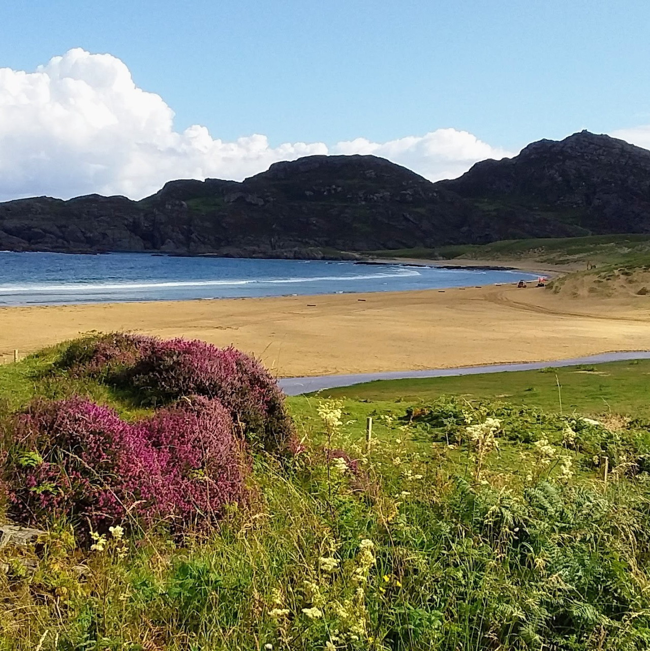 Sandy beach with pink heather, blue water, green grass, and dark hills under cloudy sky