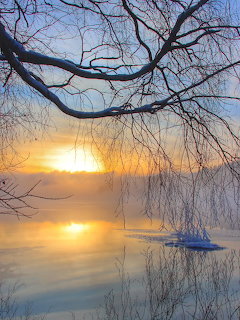 Bare tree branches frame a golden sunrise over a misty frozen lake in winter