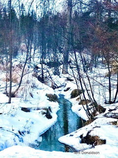 Narrow creek flowing through a snowy forest with bare trees and rocks