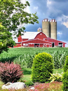 Red barn with two silos in lush farm landscape with ornamental shrubs and green fields