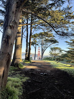 Golden Gate Bridge tower visible through tall cypress trees along a dirt path on a sunny day
