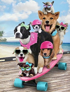 Skateboarding Dogs